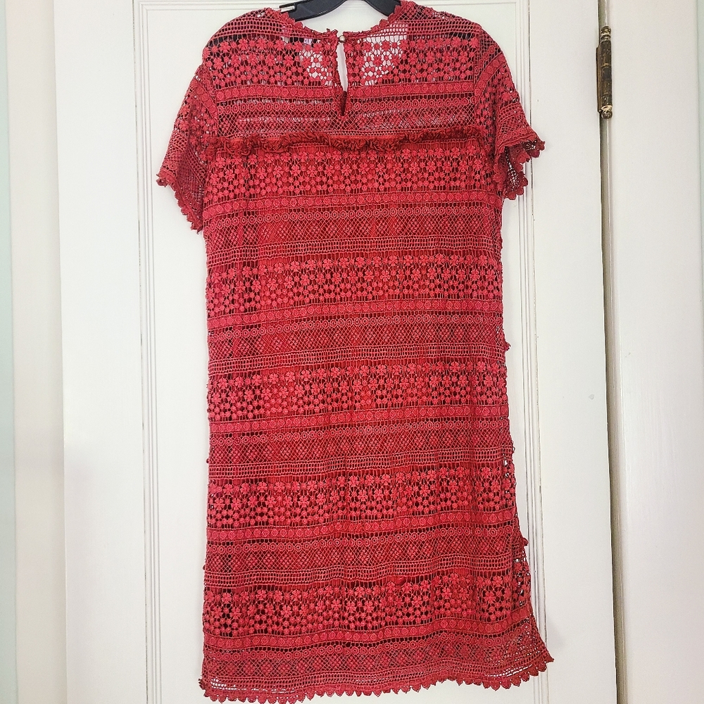 O2SKY Lace Shift Dress - Picture 5 of 6